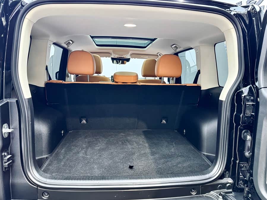 Haval Raptor New Energy 2023 car image #25