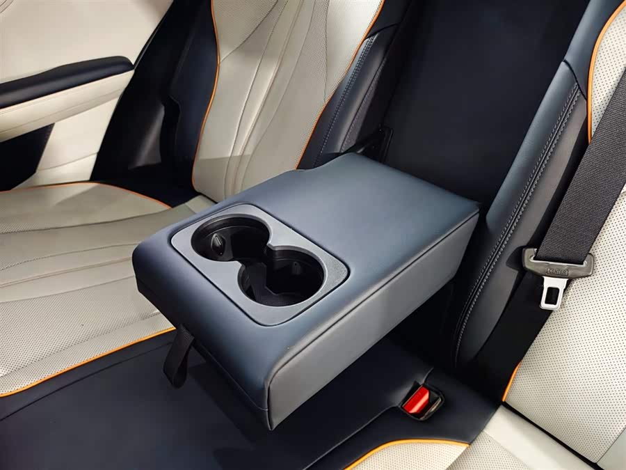 BYD Song Plus New Energy 2023 car image #25