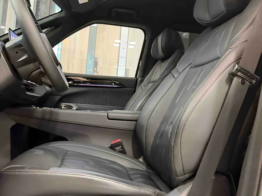 极氪 极氪009 2024 汽车图片 #25