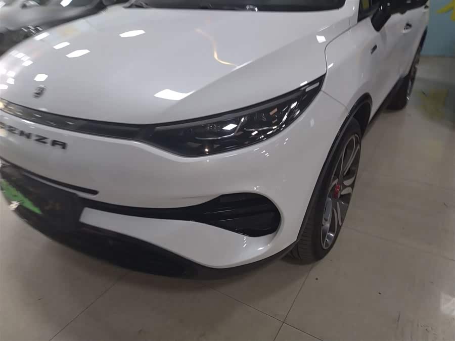 Denza X 2020 car image #25