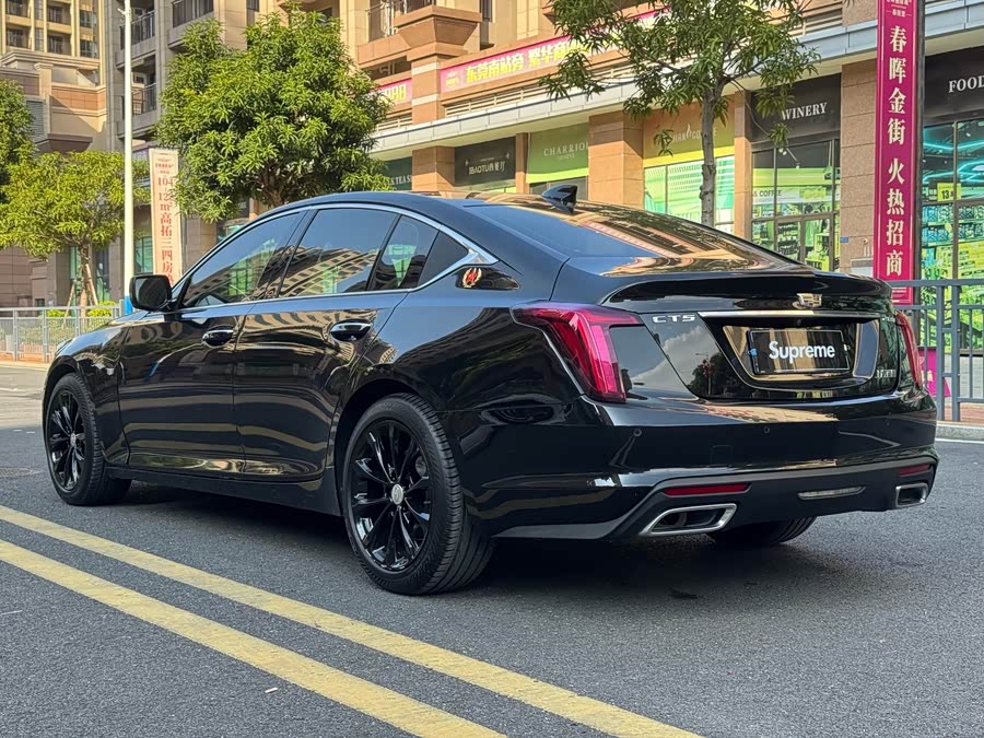 2020 #25 2020 car image #25