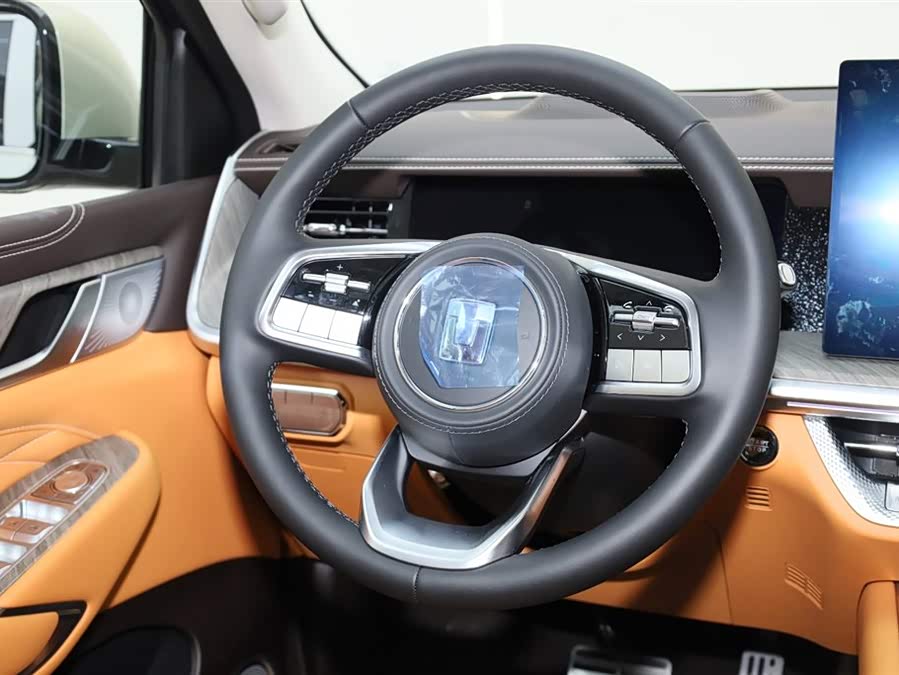 Tank 500 New Energy 2025 immagine di auto #25