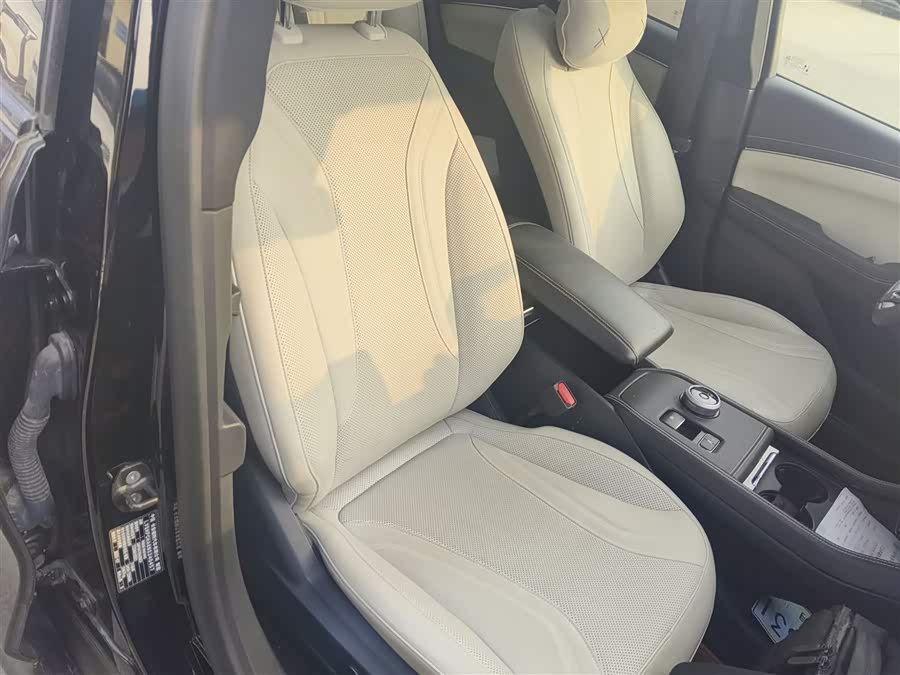 Ford Mustang Mach-E 2022 car image #25