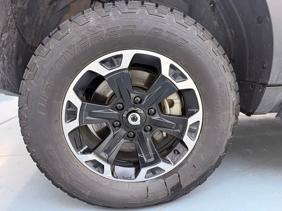 Great Wall Poer 2021 car image #25