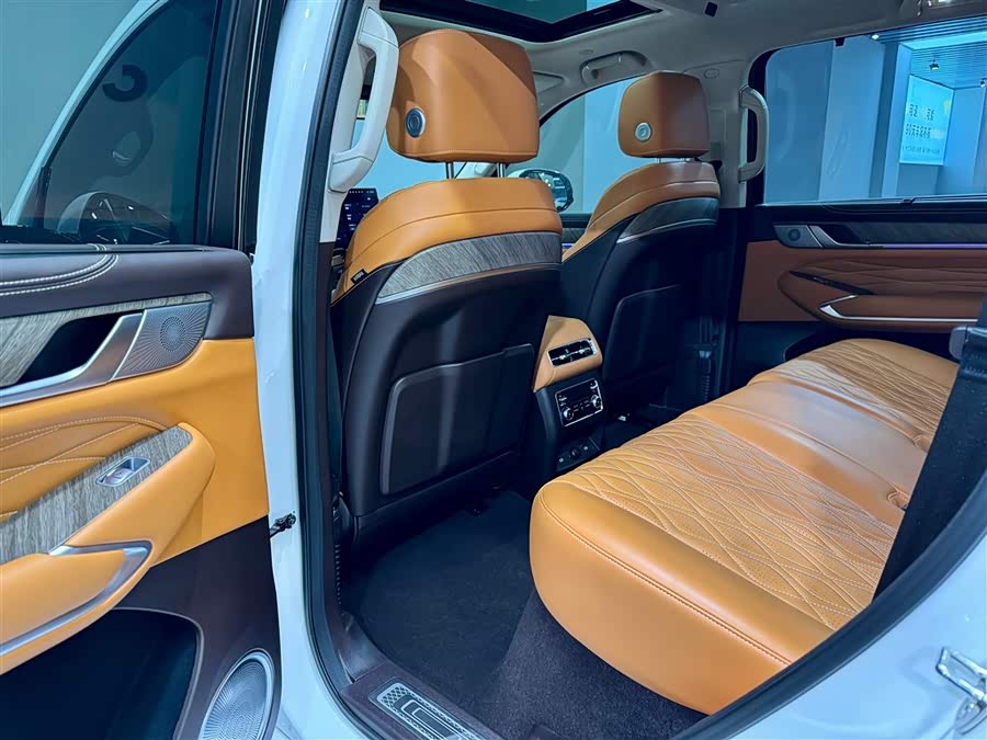 Tank 500 New Energy 2025 car image #25