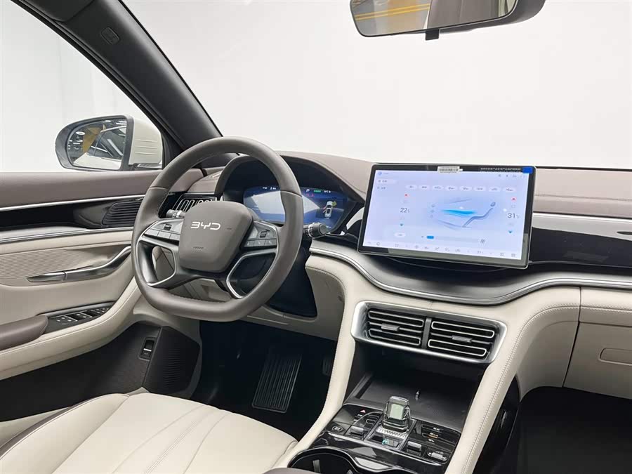 BYD Song Plus New Energy 2025 imagem de carro #25