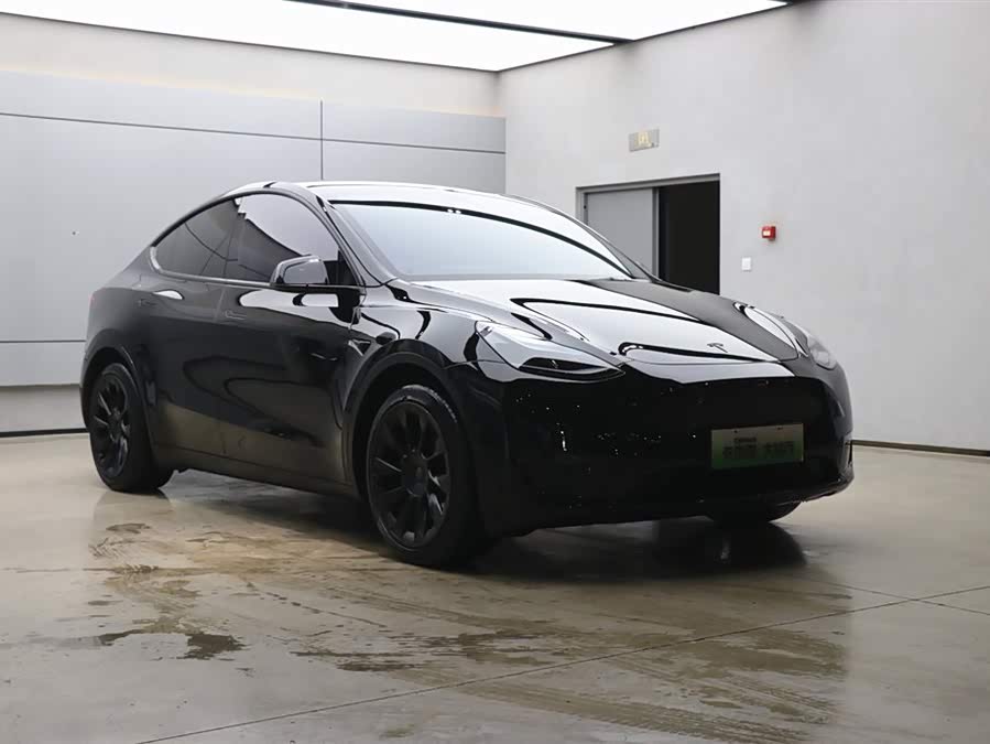 Tesla Model Y 2021 car image #25