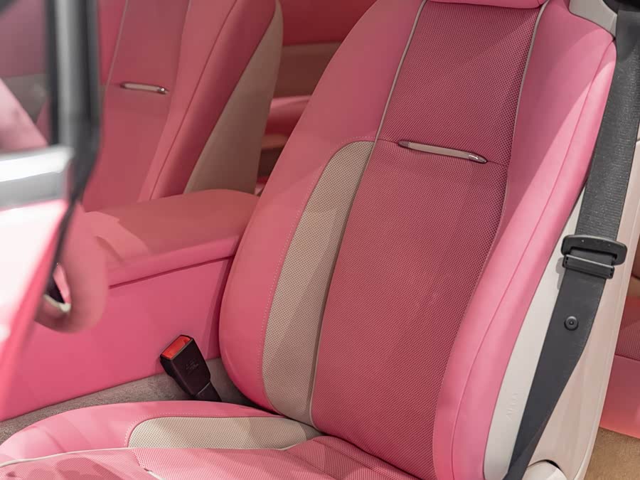 Denza Wraith 2022 #25 Denza Wraith 2022 immagine di auto #25
