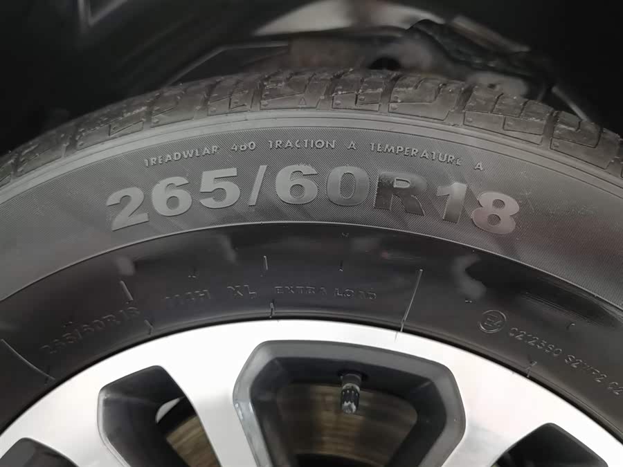 Great Wall Shanhai Pao 2023 car image #25