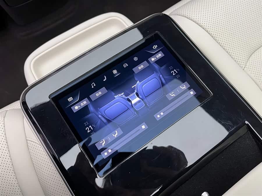 Denza Z9 2024 car image #25