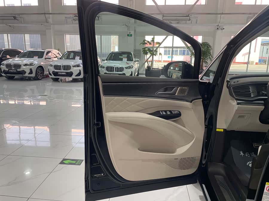 Denza D9 2025 imagen de coche #25