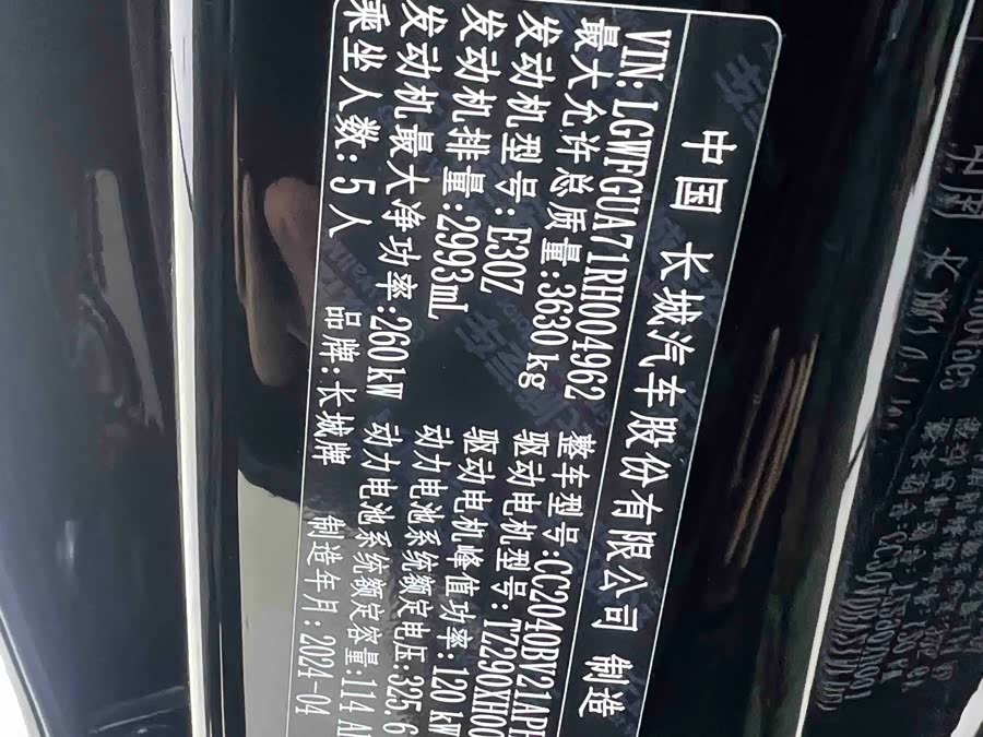 Tank 700 New Energy 2024 car image #25