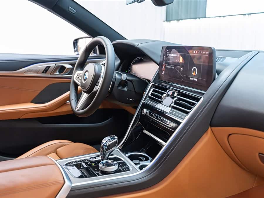 BMW 8 Series 2024 car image #25