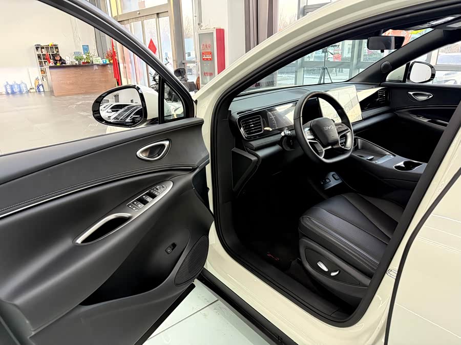 BYD Sea Lion 06 New Energy 2025 car image #25