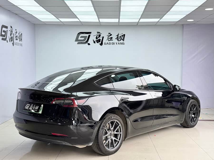 Tesla Model 3 2021 #25 Tesla Model 3 2021 car image #25