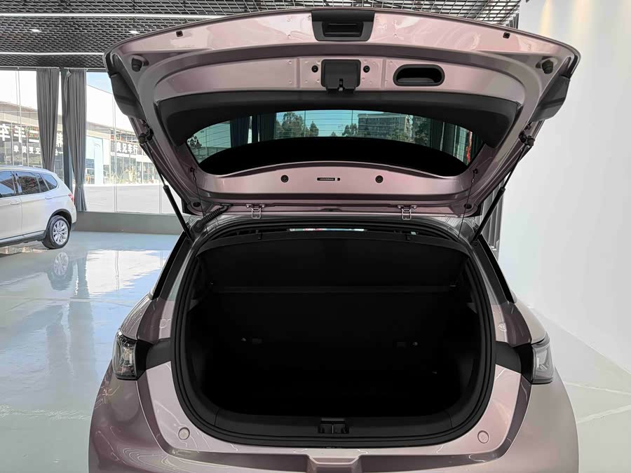 BYD Dolphin 2022 #25 BYD Dolphin 2022 car image #25