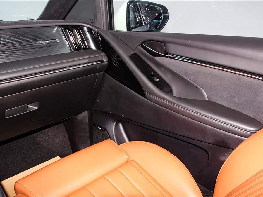 GAC Trumpchi E9 2024 car image #25