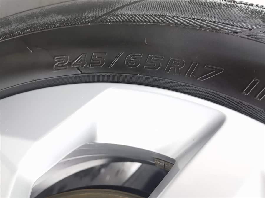 Great Wall Jingang Pao 2022 car image #25