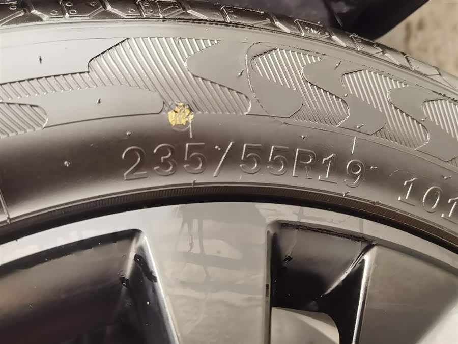T5 EVO 2024 car image #25