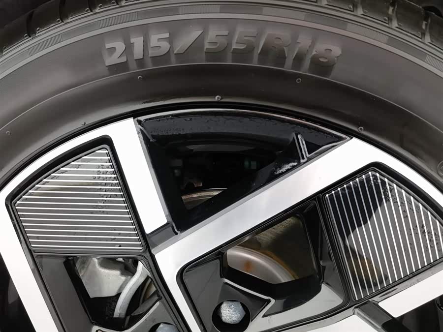 BYD Yuan Plus 2025 #25 BYD Yuan Plus 2025 car image #25