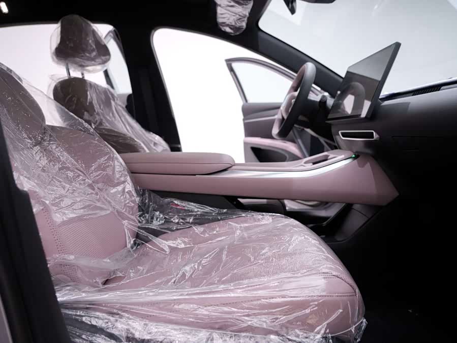 Xpeng MONA M03 2025 صورة سيارة #25