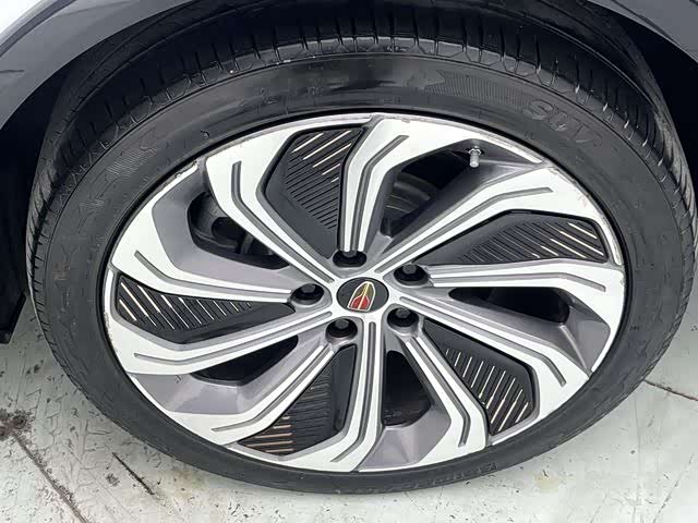 HongQi E-HS9 2023 car image #25