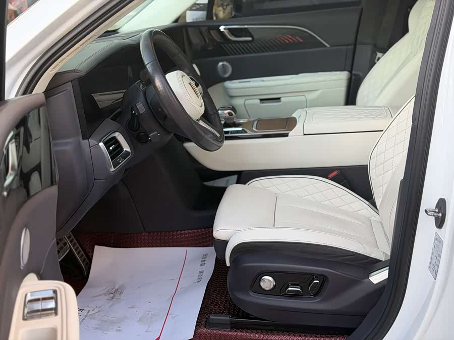 HongQi E-HS9 2022 imagen de coche #25