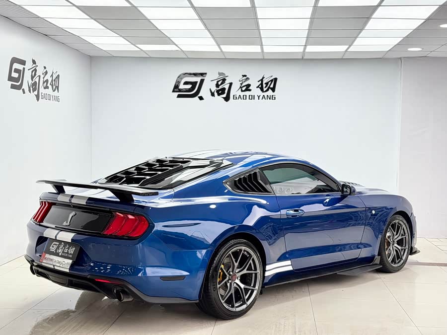 Ford Mustang 2019 car image #25