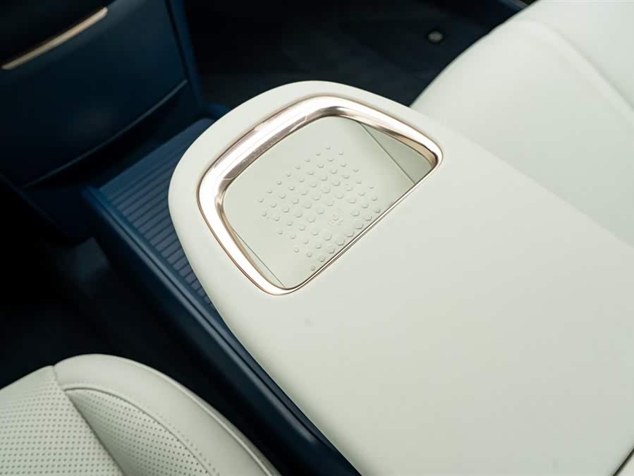 Zeekr X 2024 immagine di auto #25