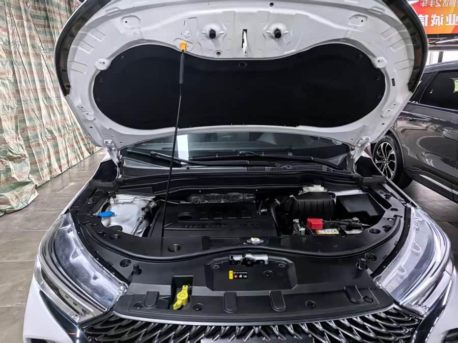 Haval M6 2021 #25 Haval M6 2021 car image #25
