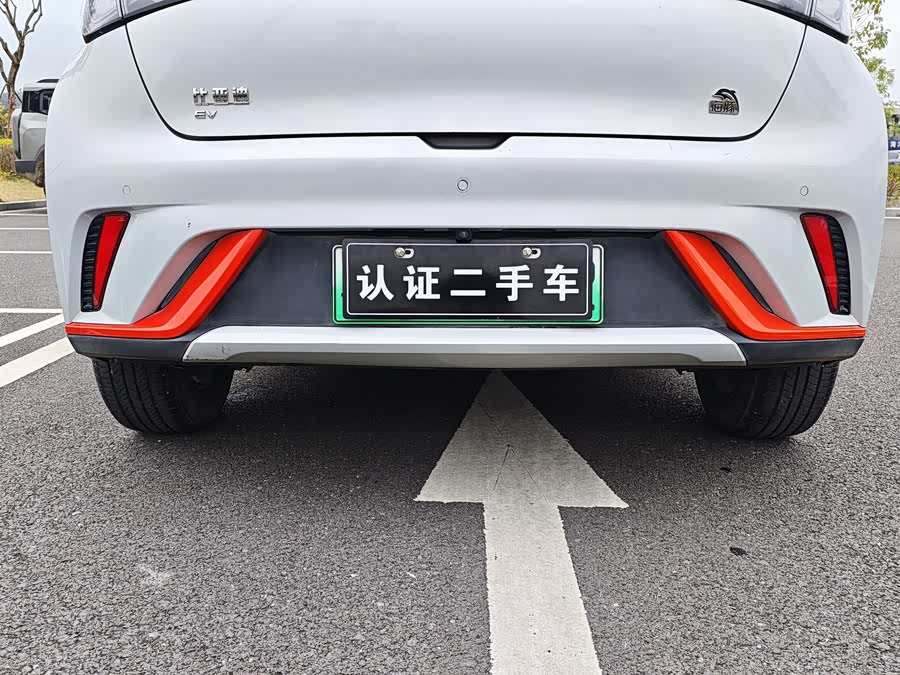 BYD Dolphin 2021 imagen de coche #25