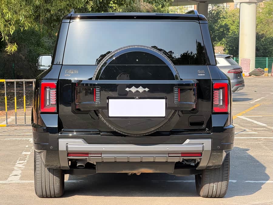 FangChengBao Leopard 8 2025 immagine di auto #25