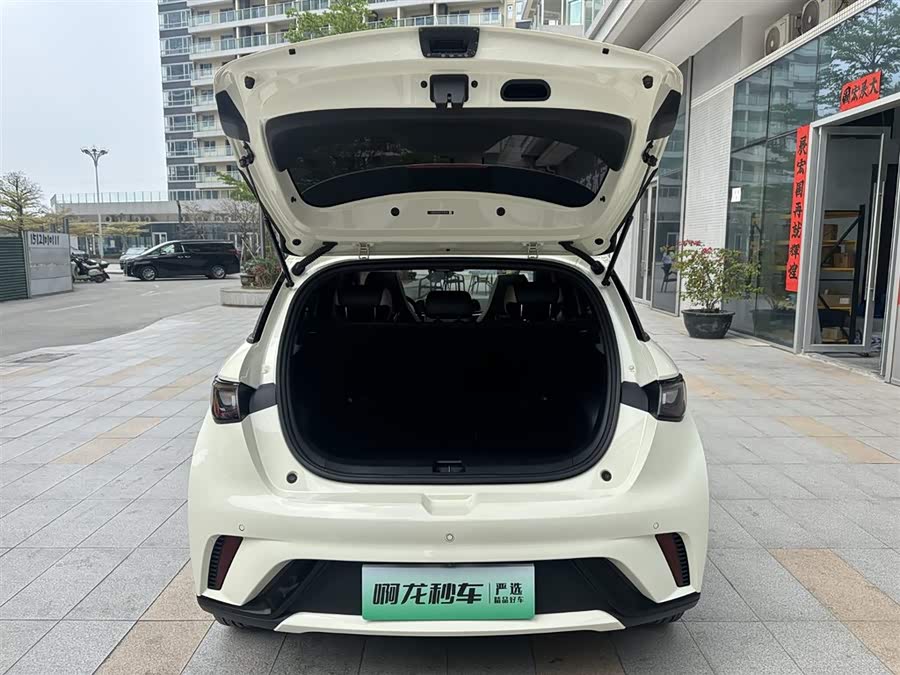 BYD Dolphin 2023 imagem de carro #25