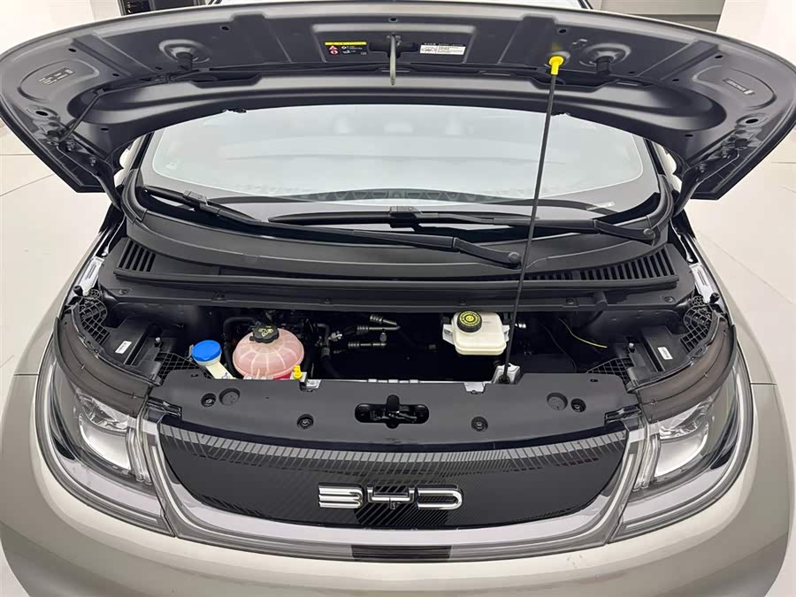 BYD Dolphin 2022 صورة سيارة #25