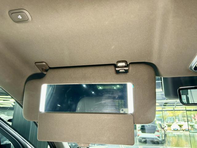 Denza N9 2025 car image #25