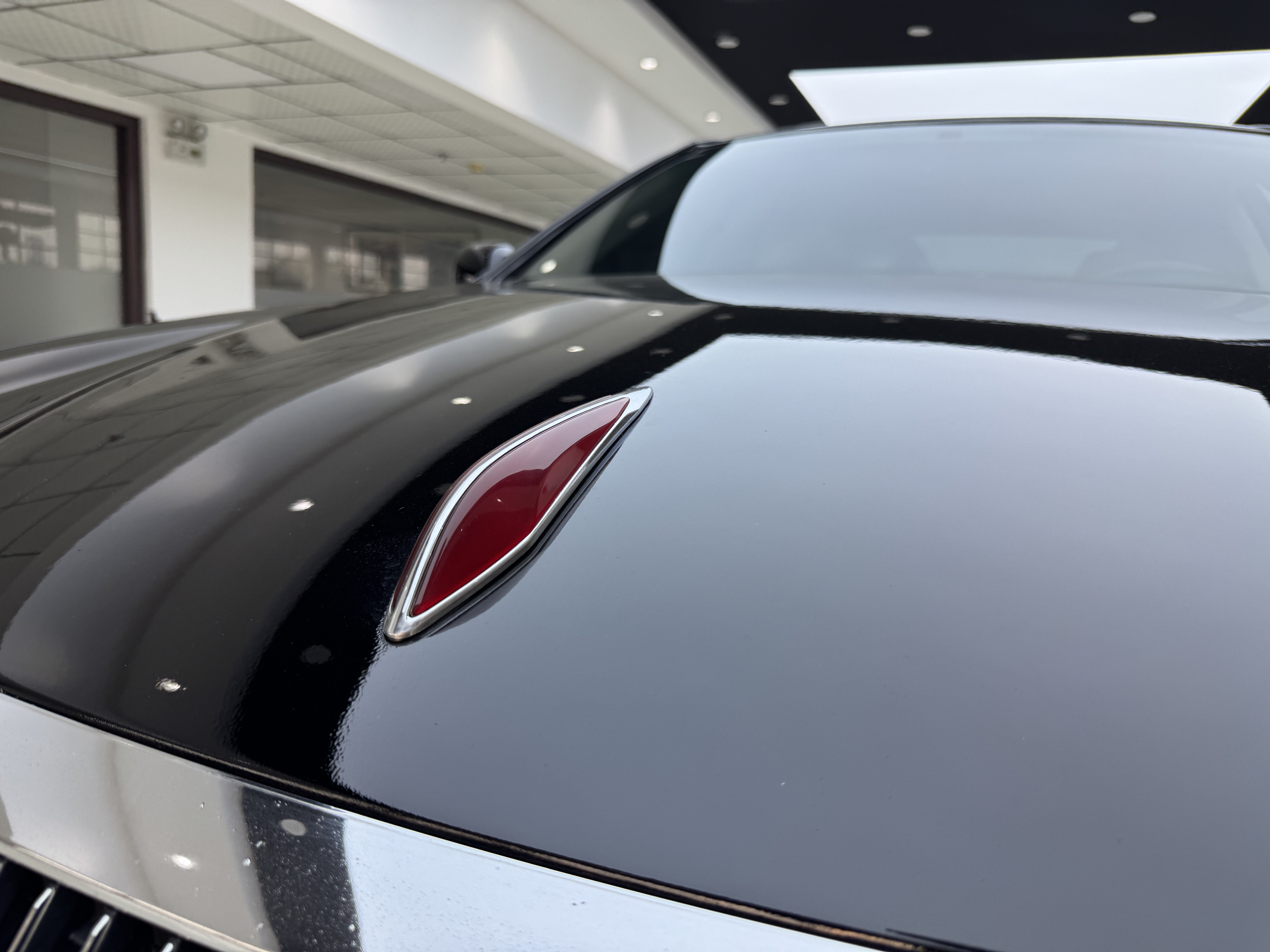 HongQi ShengShi 2008 #25 HongQi ShengShi 2008 car image #25