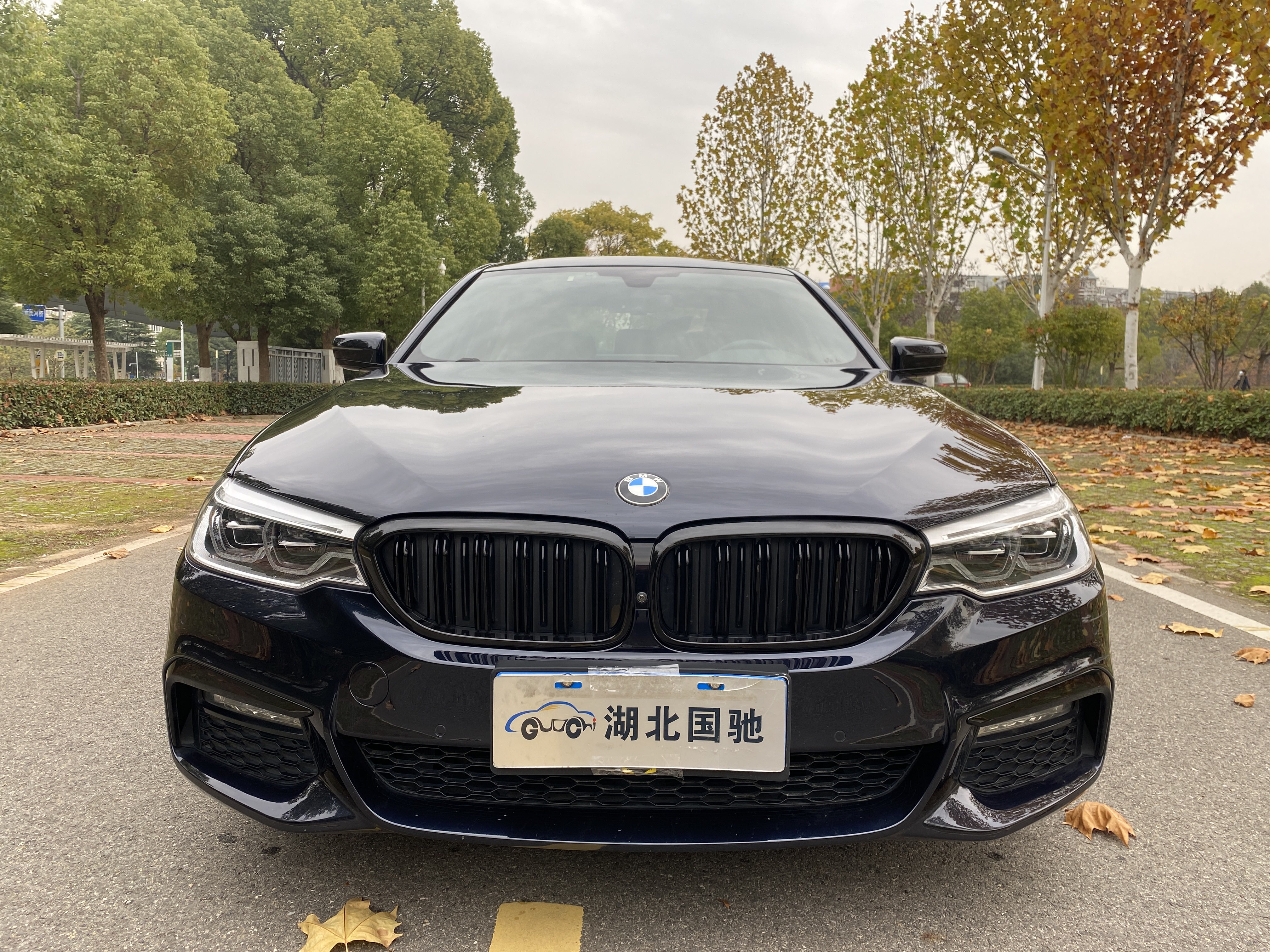 BMW 5 Series 2018 #25 BMW 5 Series 2018 car image #25