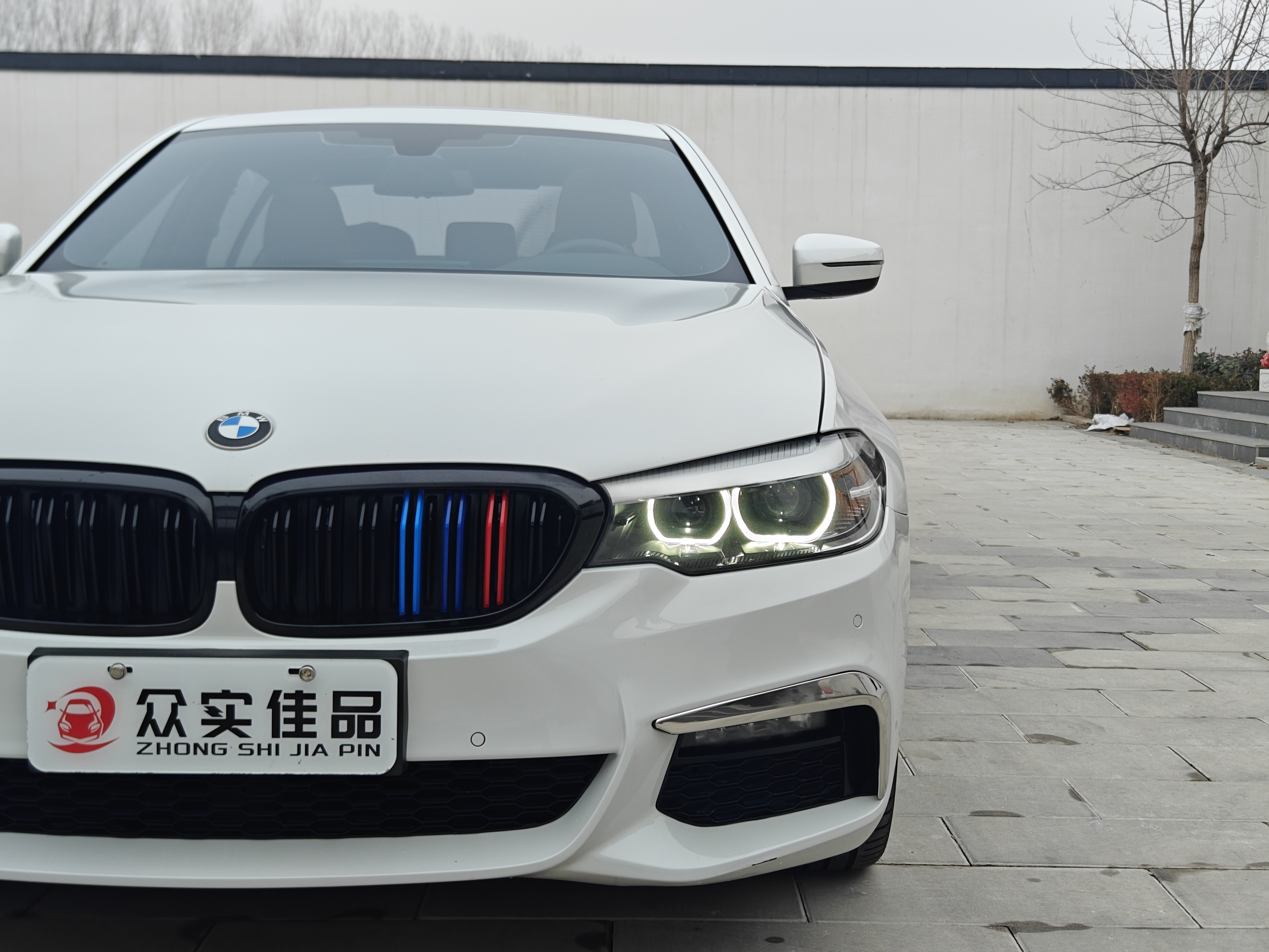BMW 5 Series 2019 car image #25
