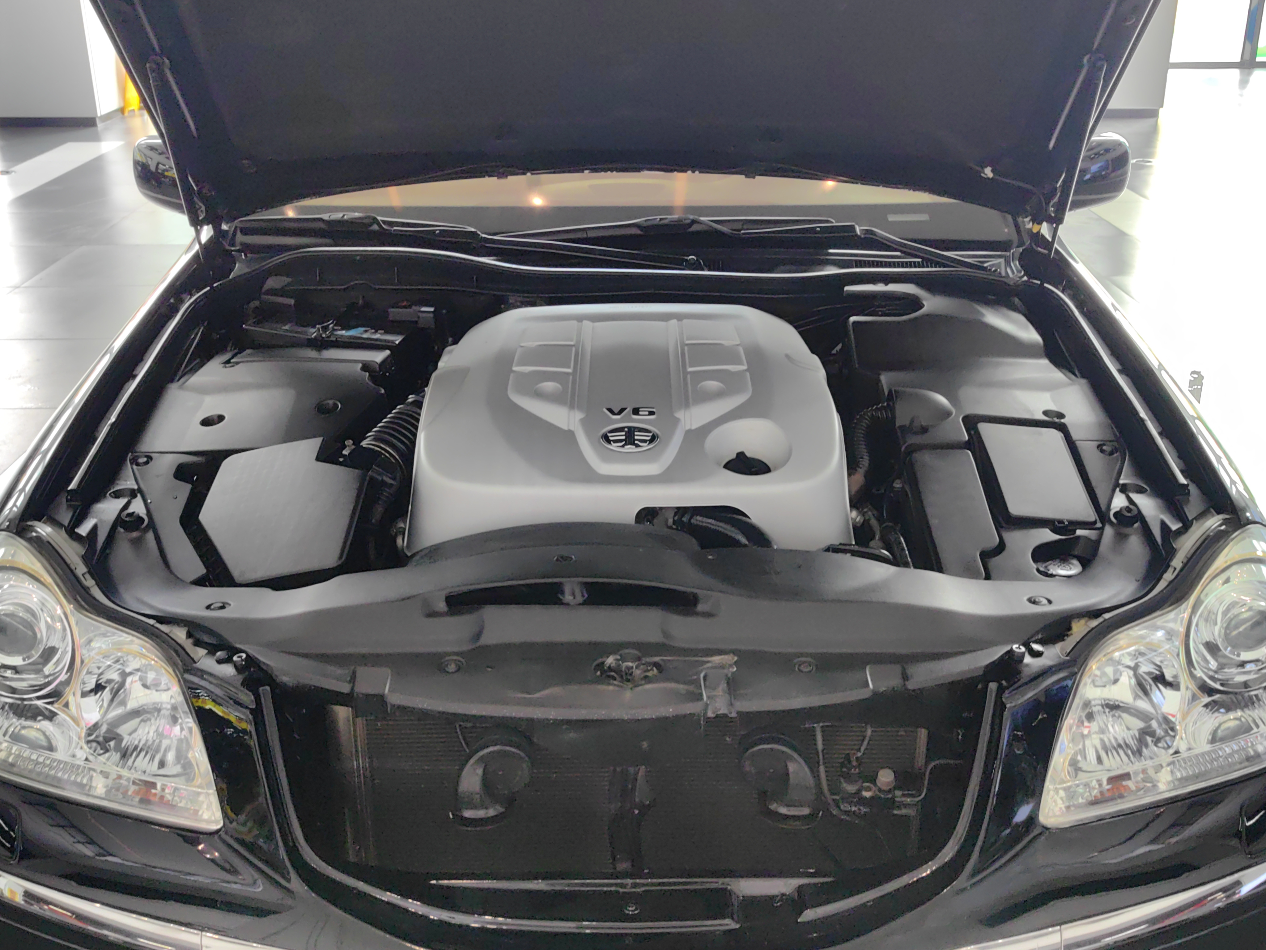 HongQi ShengShi 2008 #25 HongQi ShengShi 2008 صورة سيارة #25