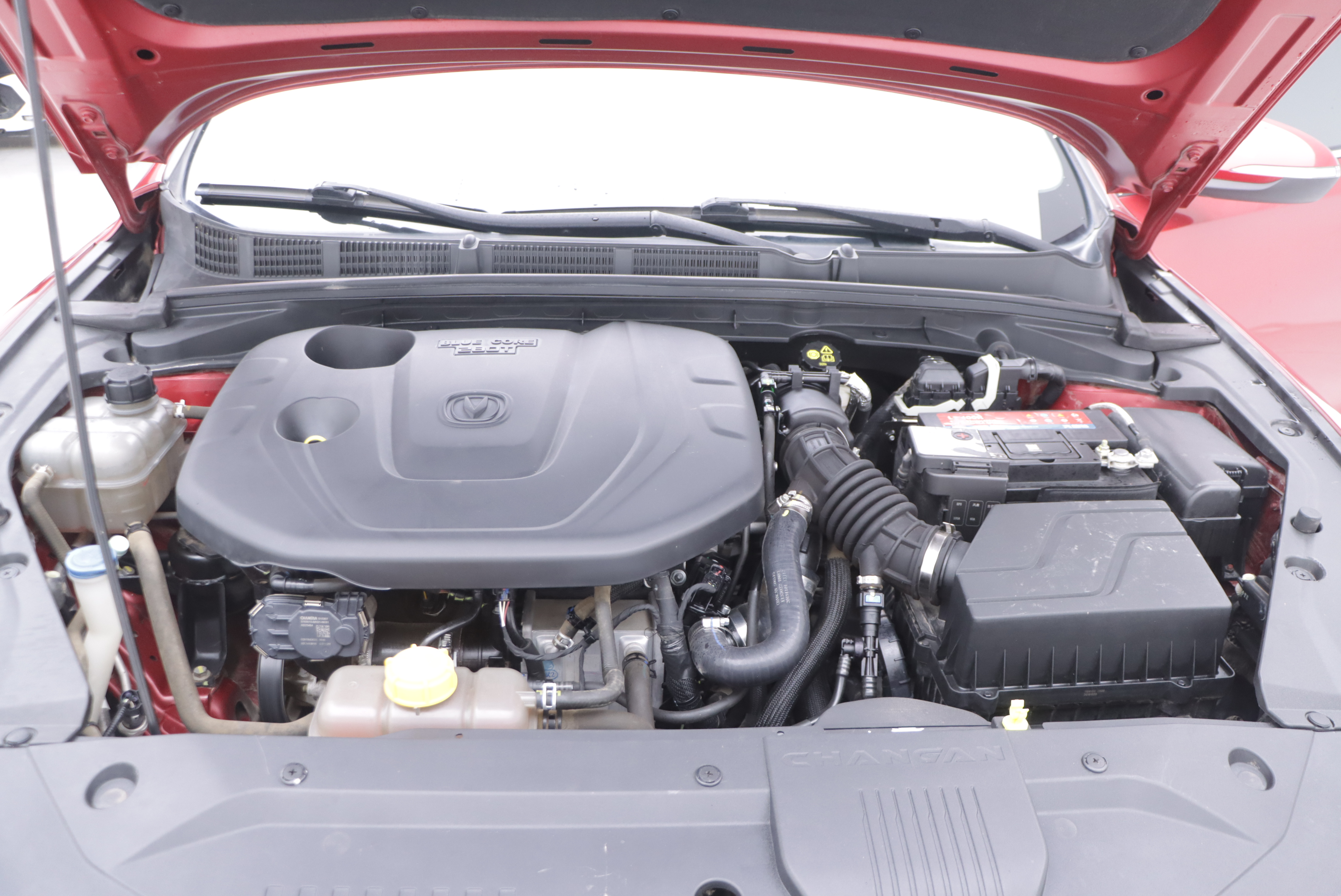 Changan Eado 2020 #25 Changan Eado 2020 car image #25