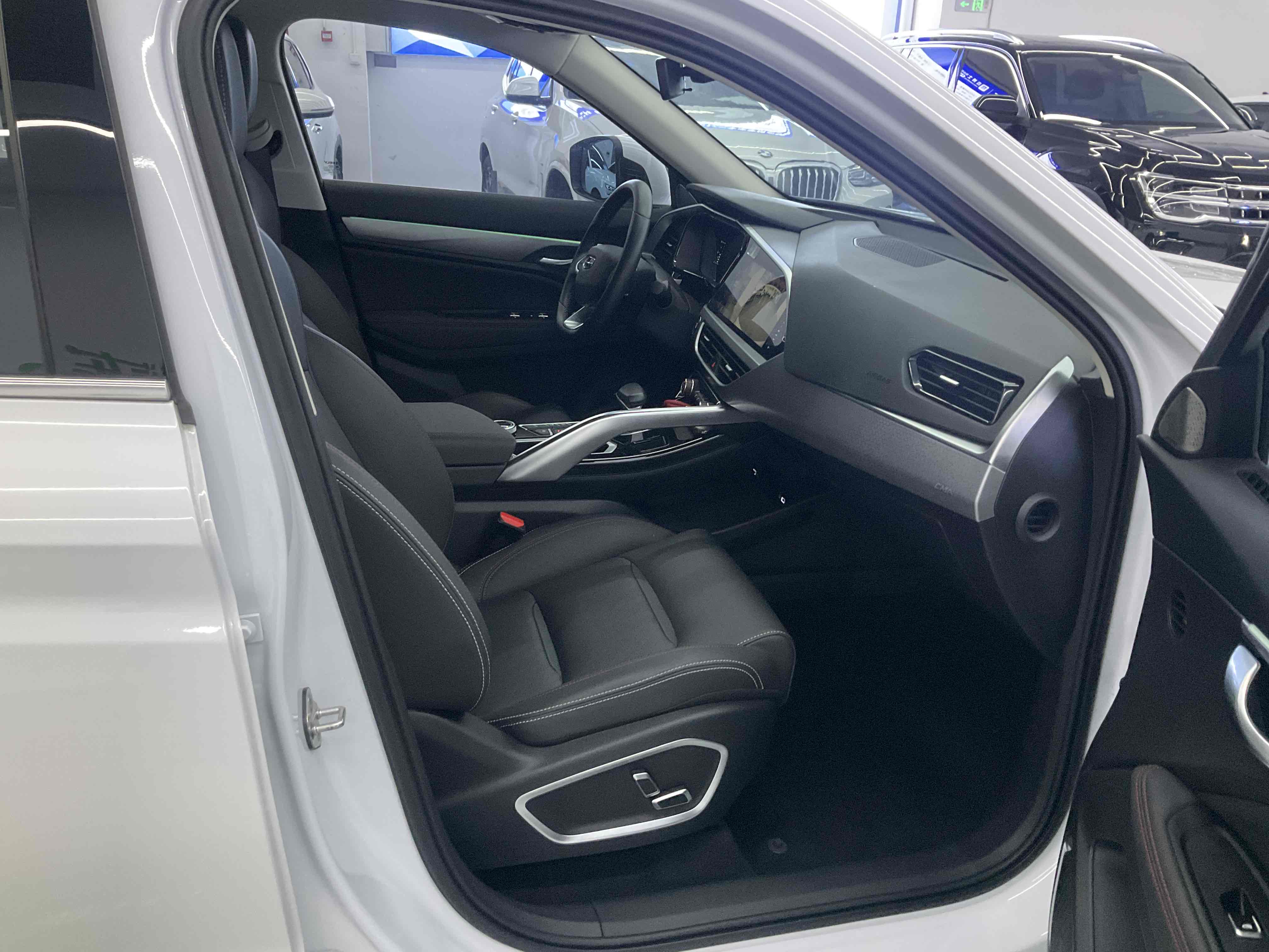 GEELY Tugella S 2022 car image #25