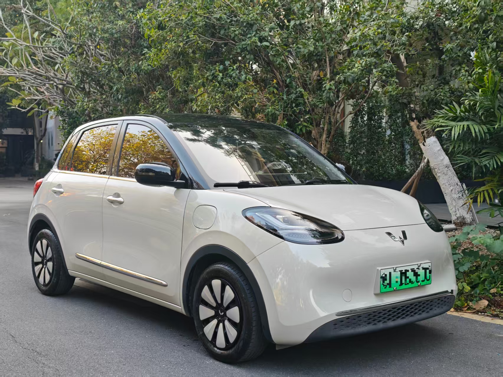 五菱汽车 五菱缤果 2023 #25 五菱汽车 五菱缤果 2023 汽车图片 #25