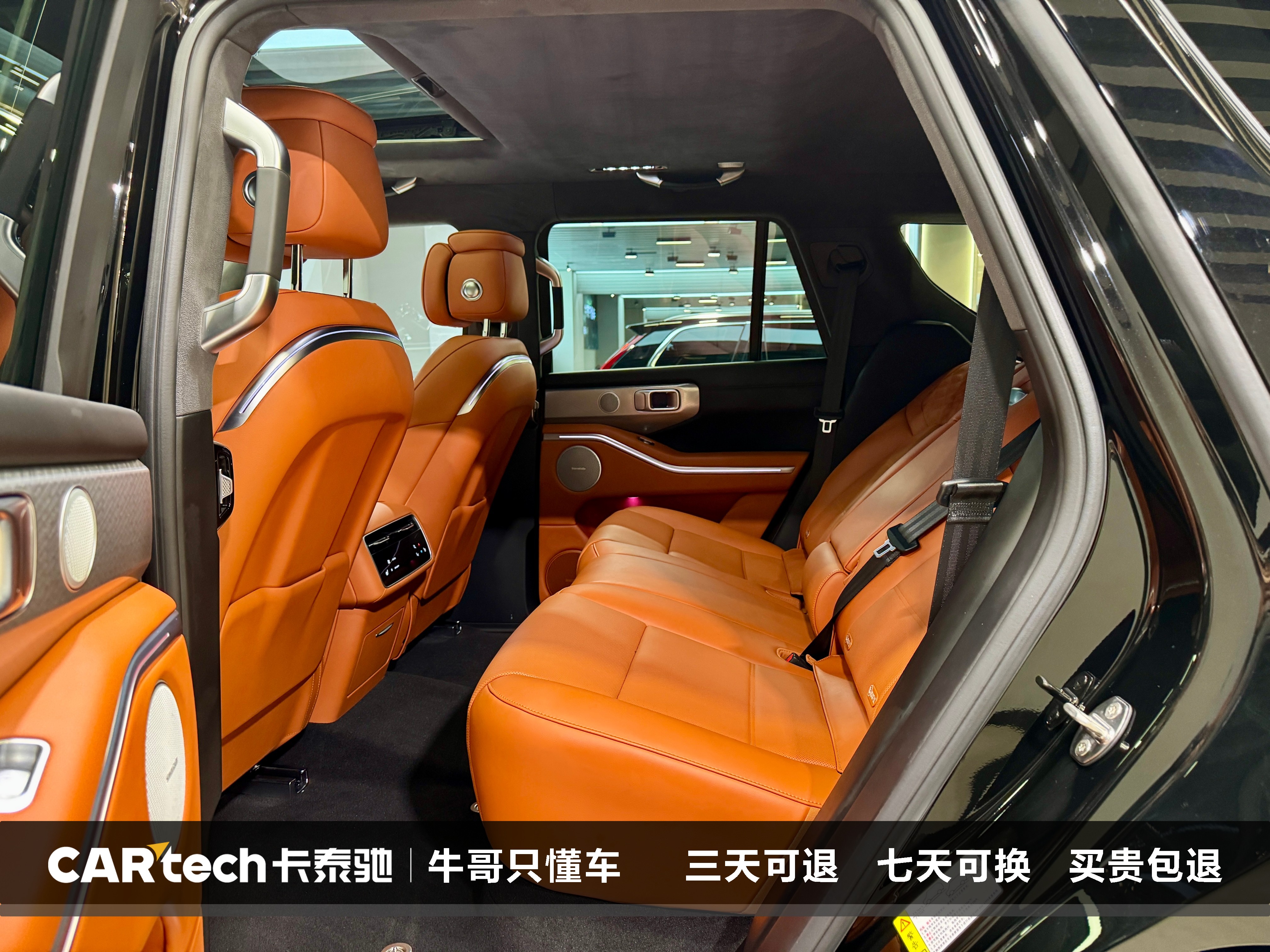 Tank 700 New Energy 2024 immagine di auto #25