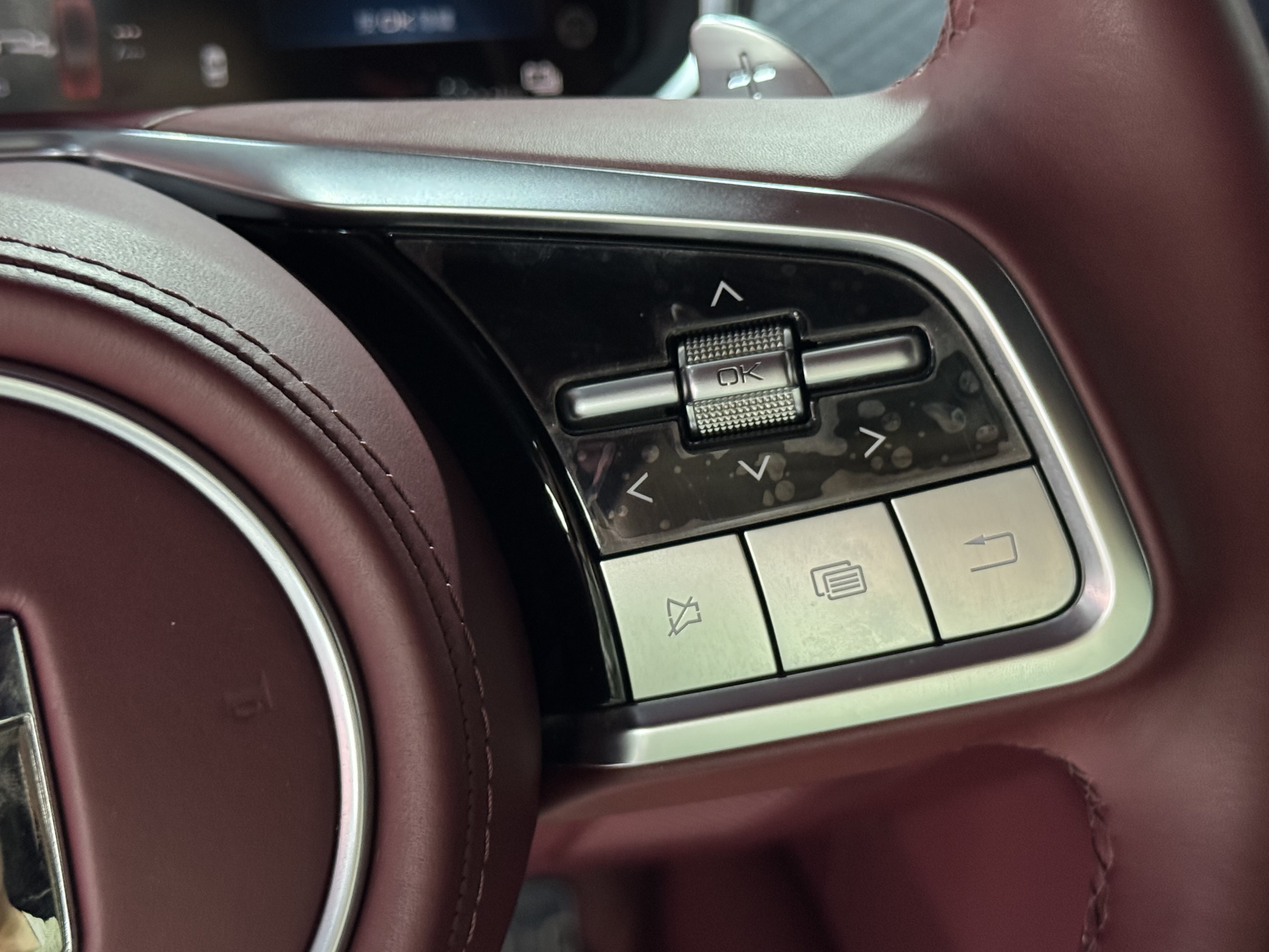 Tank 700 New Energy 2024 immagine di auto #25