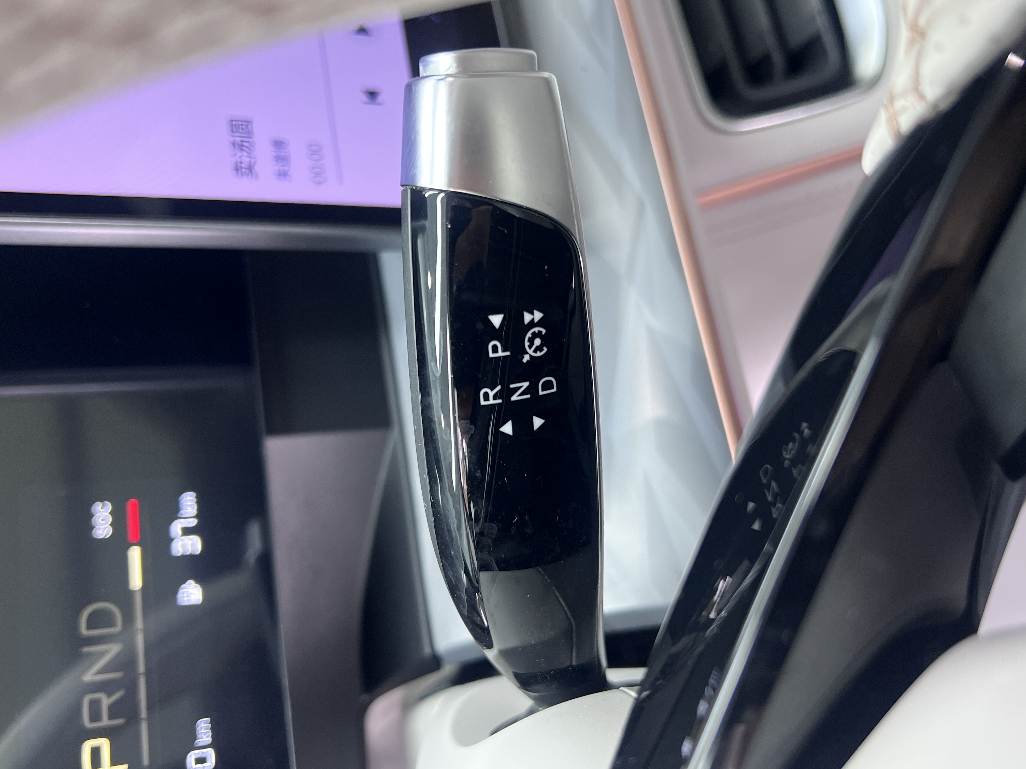 Neta L 2024 imagen de coche #25