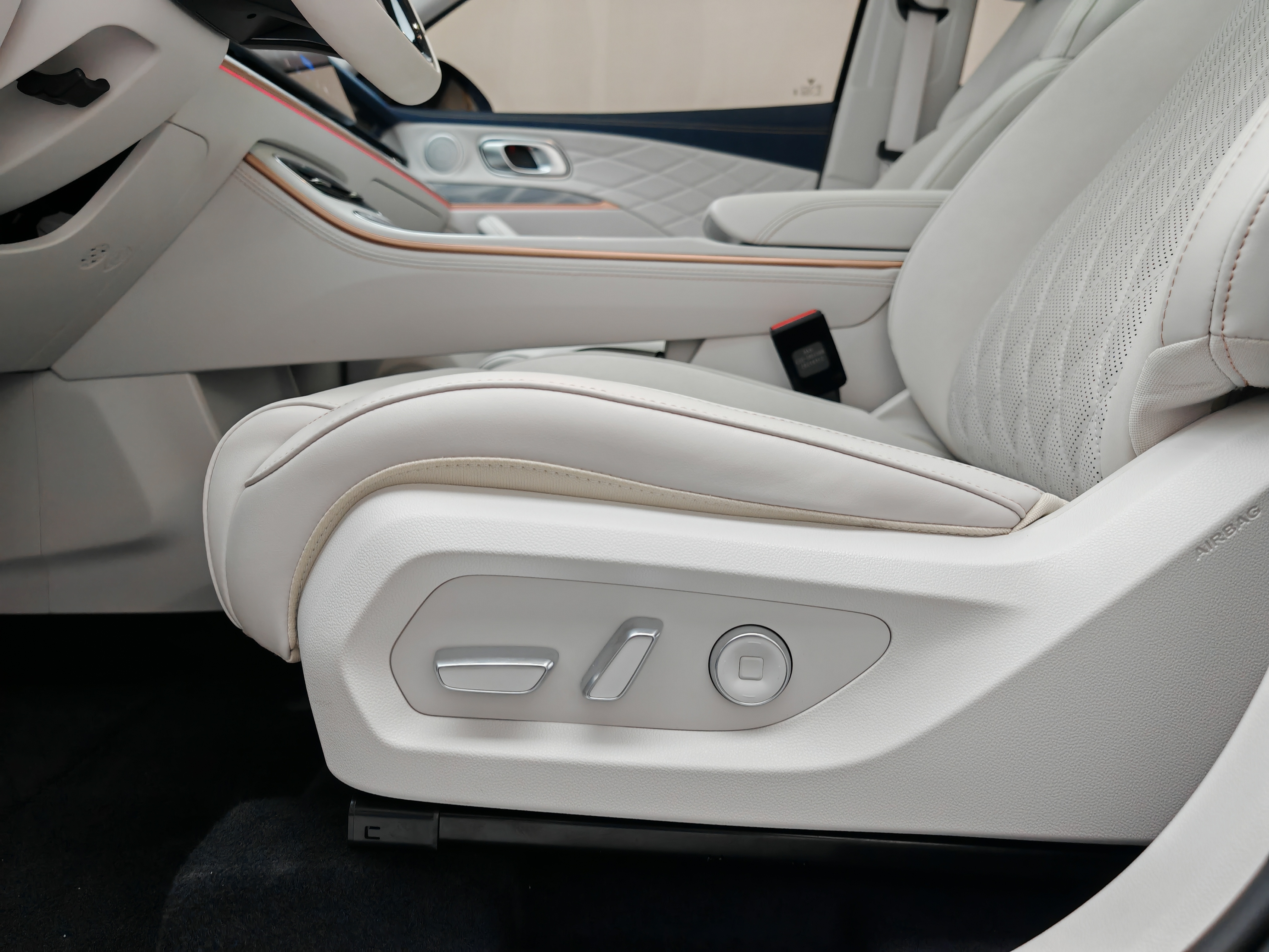 Neta L 2024 imagen de coche #25