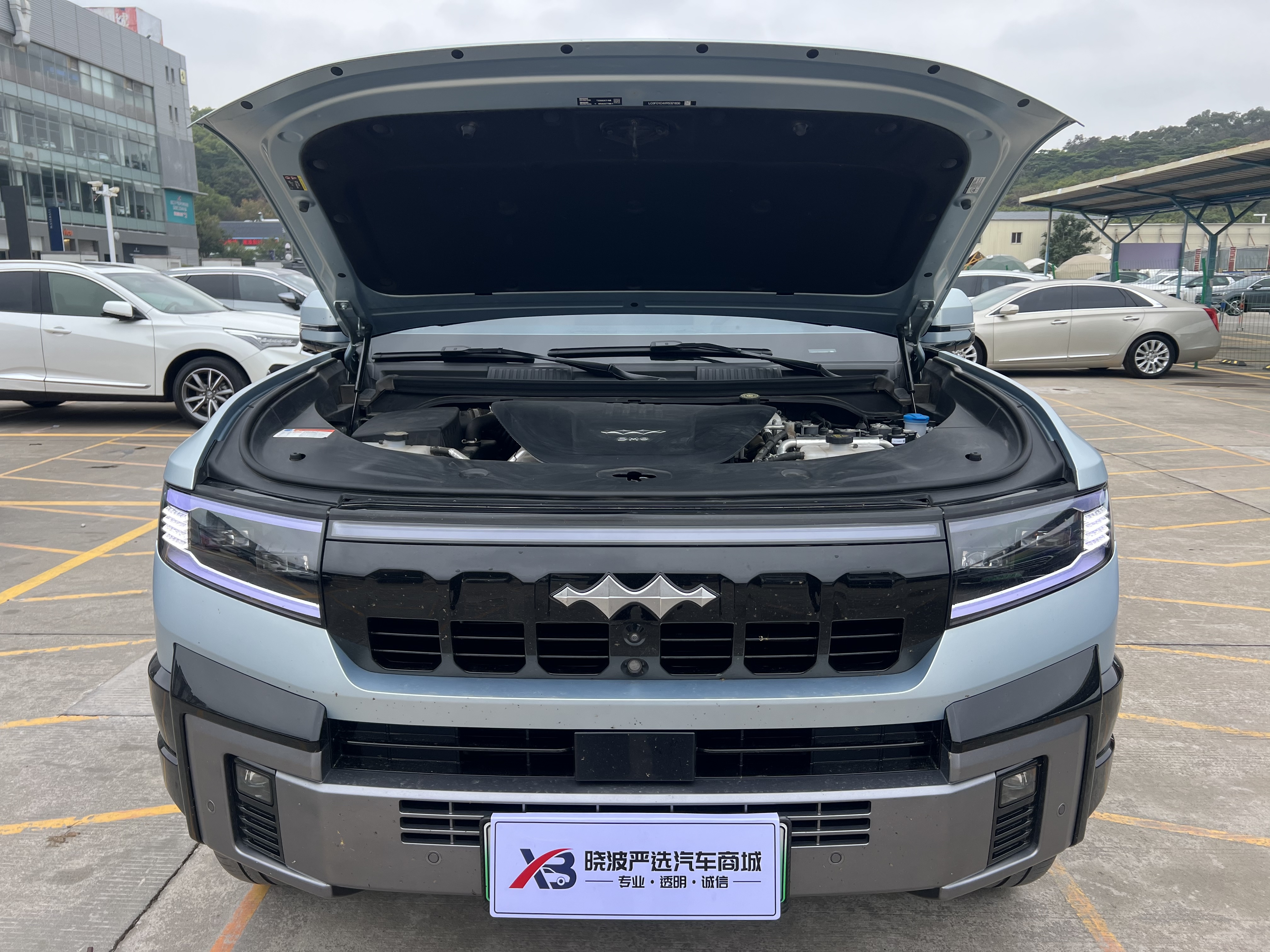 FangChengBao Leopard 8 2024 car image #25