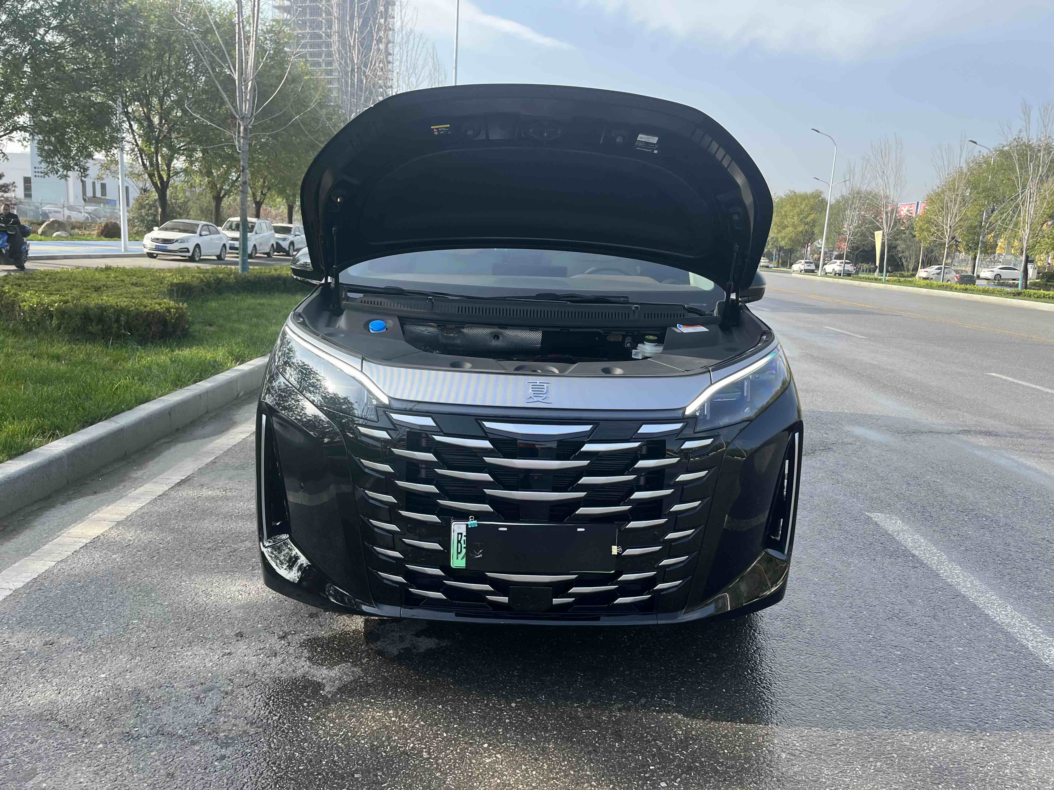 BYD Xia 2025 car image #25