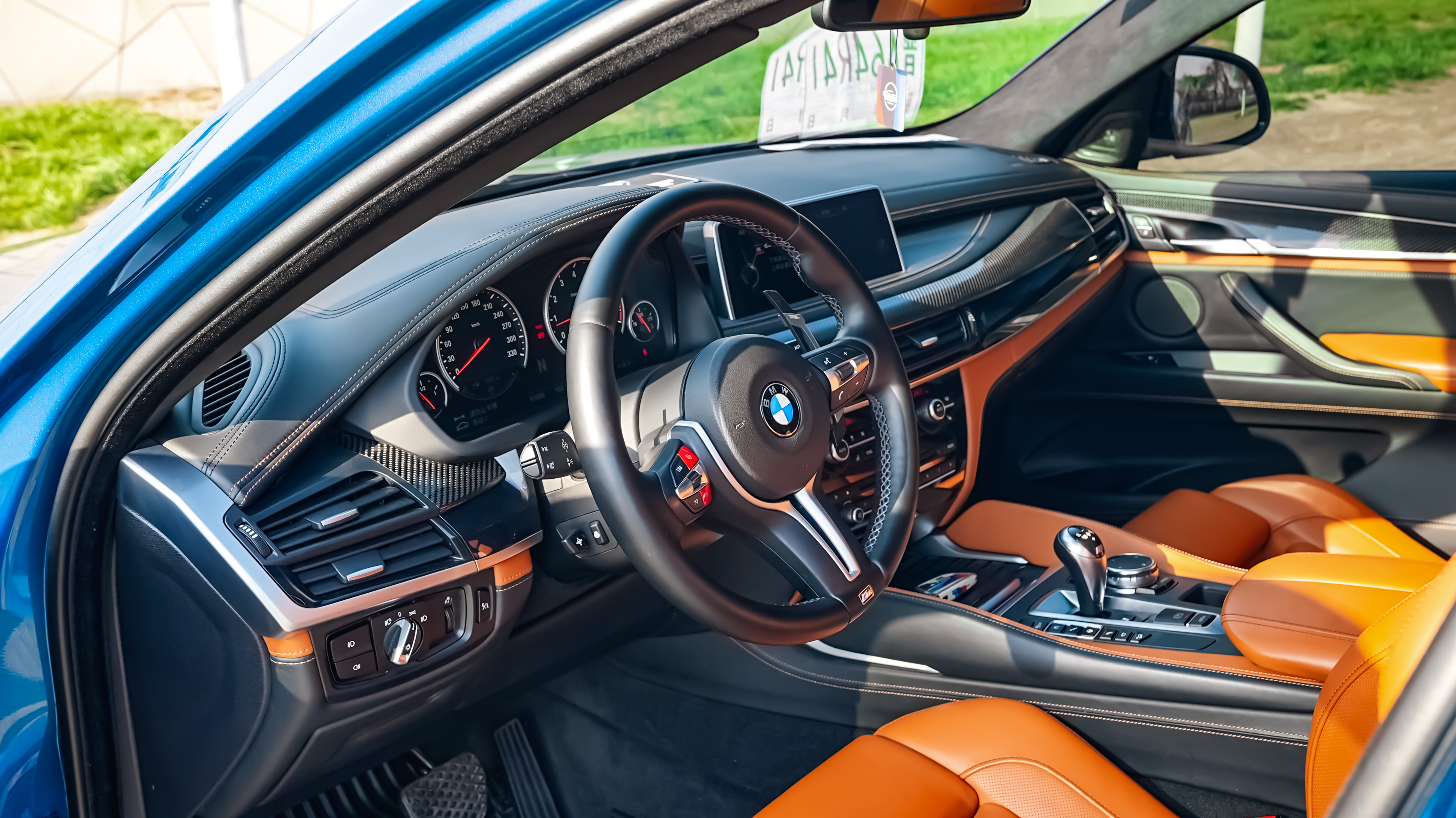 BMW X6 M 2016 car image #25