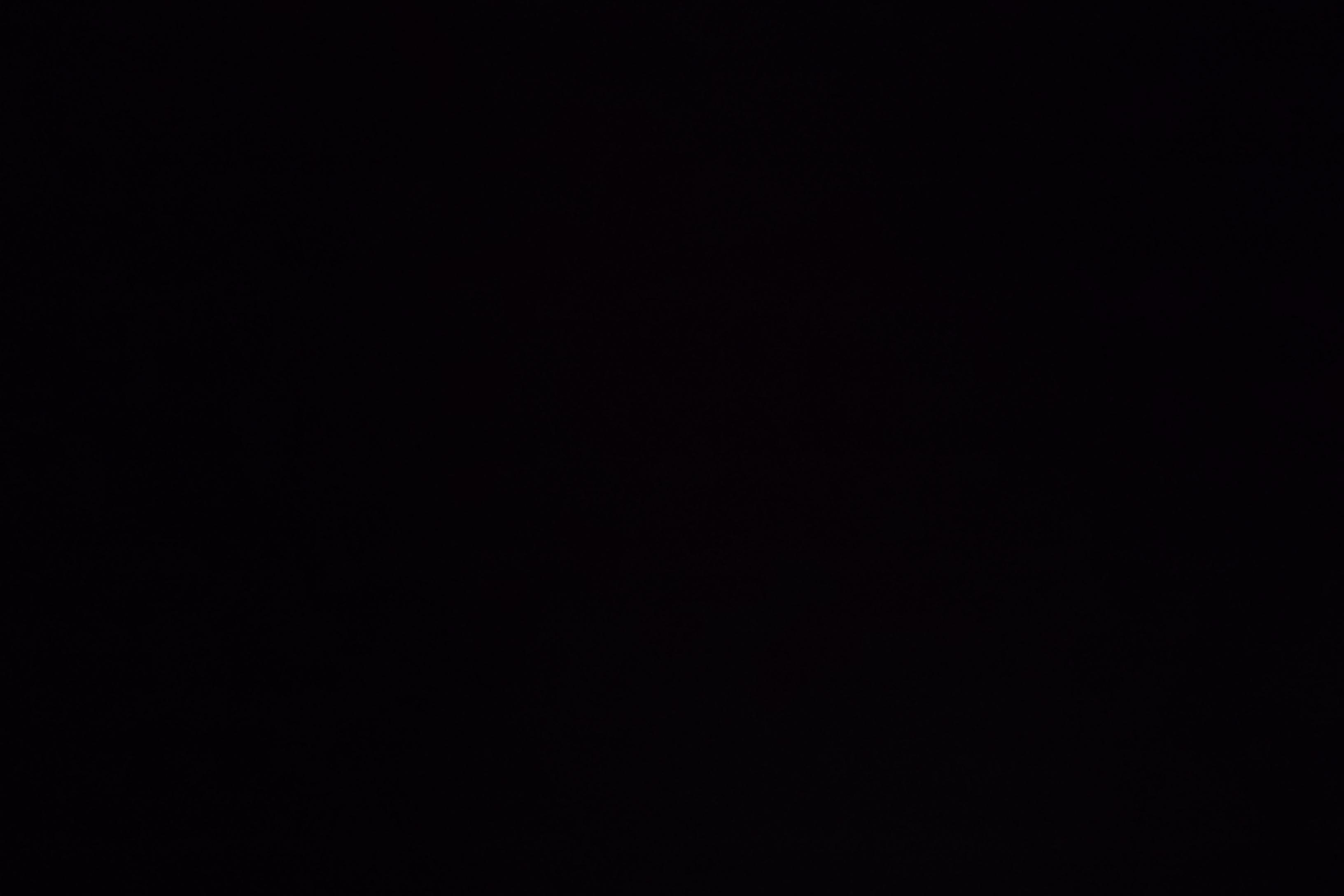 Mercedes-Benz C Class (Imported) 2021 car image #25